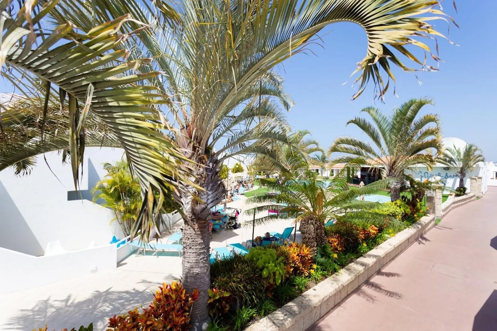 Apartment Malibu Park Studio With Ocean Views & Heated Pool Costa Adeje