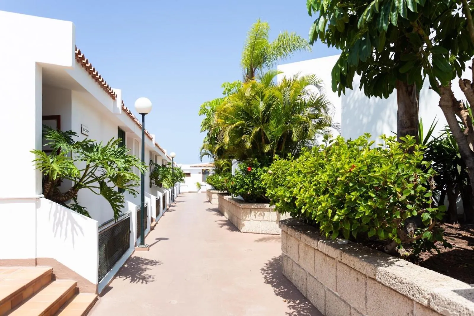 Malibu Park Studio With Ocean Views & Heated Pool Costa Adeje  0*, Costa Adeje (Tenerife)